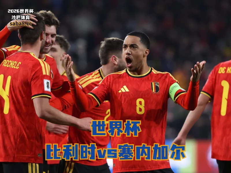 沙巴体育官网、2026世界杯、足球推荐、世界杯预测、世界杯推荐、五大联赛、比利时足球国家队
