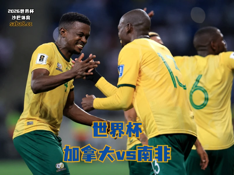 沙巴体育官网、2026世界杯、足球推荐、世界杯预测、世界杯推荐、五大联赛、南非足球国家队